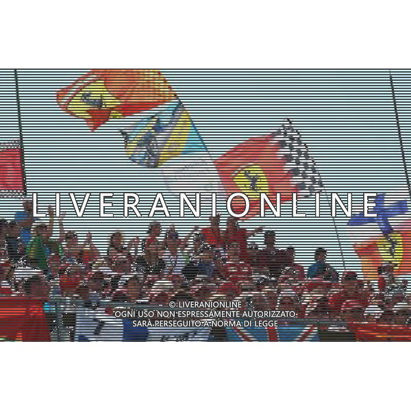 Fans and flags. 26.07.2015. Formula 1 World Championship, Rd 10, Hungarian Grand Prix, Budapest, Hungary, Race Day. AG ALDO LIVERANI SAS ONLY ITALY