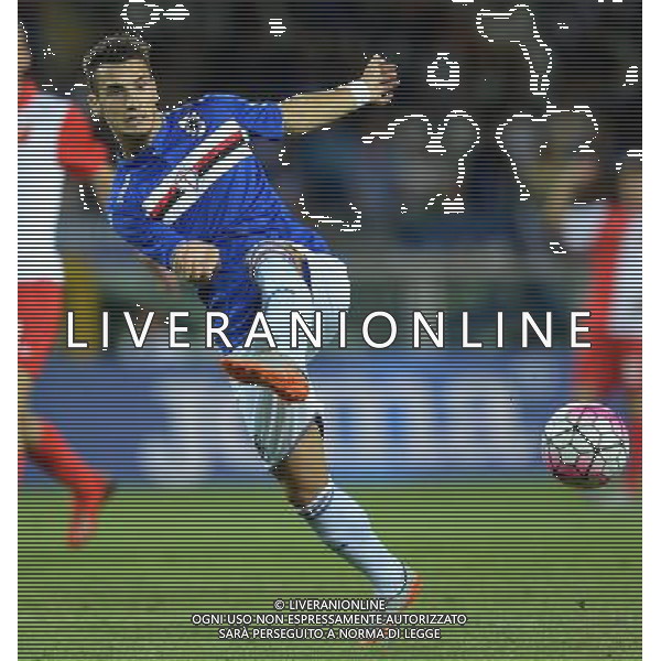 UEFA Europa League 2015/2016 Terzo Turno di Qualificazione Andata Torino - 30.07.2015 Sampdoria-Vojvodina Nella Foto:Bonazzoli Federico /Ph.Vitez-Ag. Aldo Liverani