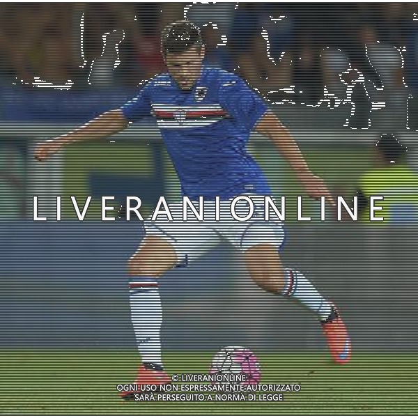 UEFA Europa League 2015/2016 Terzo Turno di Qualificazione Andata Torino - 30.07.2015 Sampdoria-Vojvodina Nella Foto:Wszolek Pawel /Ph.Vitez-Ag. Aldo Liverani