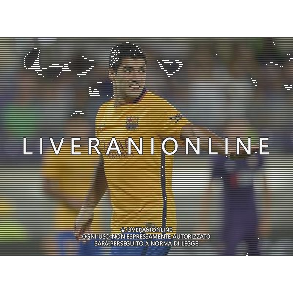 International Guinness Cup 2015 Firenze - 02.08.2015 Fiorentina-Barcellona Nella Foto:Luis Suarez /Ph.Vitez-Ag. Aldo Liverani