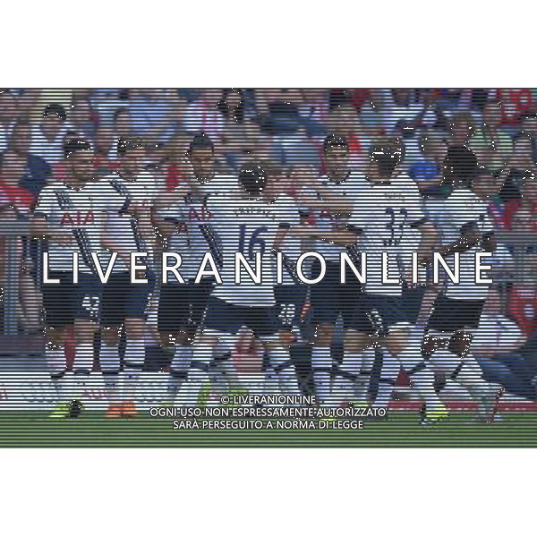 Audi Cup 2015 Monaco (Germania) - 05.08.2015 Tottenham-Milan Nella Foto:chadli esulta /Ph.Vitez-Ag. Aldo Liverani