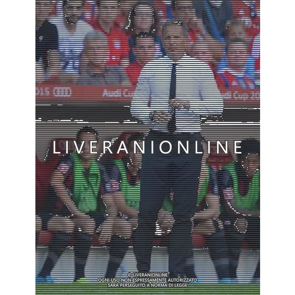 Audi Cup 2015 Monaco (Germania) - 05.08.2015 Tottenham-Milan Nella Foto:mihajlovic sinisa /Ph.Vitez-Ag. Aldo Liverani