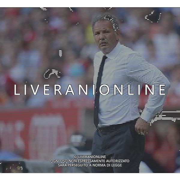 Audi Cup 2015 Monaco (Germania) - 05.08.2015 Tottenham-Milan Nella Foto:Mihajlovic Sinisa /Ph.Vitez-Ag. Aldo Liverani