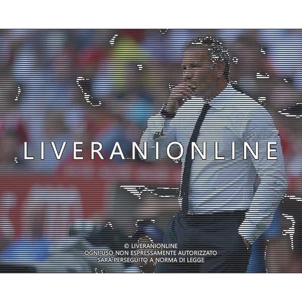 Audi Cup 2015 Monaco (Germania) - 05.08.2015 Tottenham-Milan Nella Foto:Mihajlovic Sinisa /Ph.Vitez-Ag. Aldo Liverani