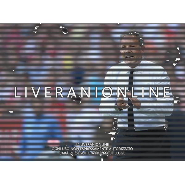 Audi Cup 2015 Monaco (Germania) - 05.08.2015 Tottenham-Milan Nella Foto:Mihajlovic Sinisa /Ph.Vitez-Ag. Aldo Liverani