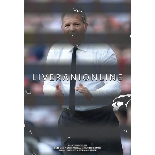 Audi Cup 2015 Monaco (Germania) - 05.08.2015 Tottenham-Milan Nella Foto:Mihajlovic Sinisa /Ph.Vitez-Ag. Aldo Liverani