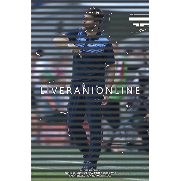 Audi Cup 2015 Monaco (Germania) - 05.08.2015 Tottenham-Milan Nella Foto:Pochettino Mauricio /Ph.Vitez-Ag. Aldo Liverani