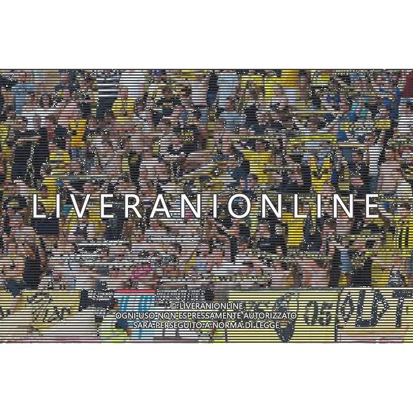 Supporters Young Boys Berne - 04.08.2015 - Monaco / Young Boys Berne - 3eme Tour Retour Champions League Photo : Jean Christophe Magnenet / Icon Sport AG ALDO LIVERANI SAS ONLY ITALY