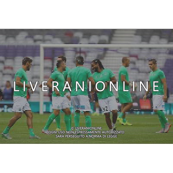 Groupe Saint Etienne - 09.08.2015 - Toulouse / Sain Etienne - 1er journee de Ligue 1 Photo : Manuel Blondeau / Icon Sport /AGENZIA ALDO LIVERANI SAS - ITALY ONLY - EDITORIAL USE ONLY -