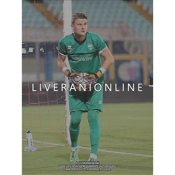 10-8-15 Catania : catania - spal tim cup 2015/16 Nella foto: barandvsky nikita GIUSEPPE SERGI/AG ALDO LIVERANI SAS 