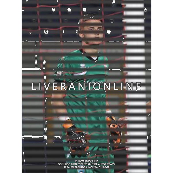 10-8-15 Catania : catania - spal tim cup 2015/16 Nella foto: barandvsky nikita GIUSEPPE SERGI/AG ALDO LIVERANI SAS 