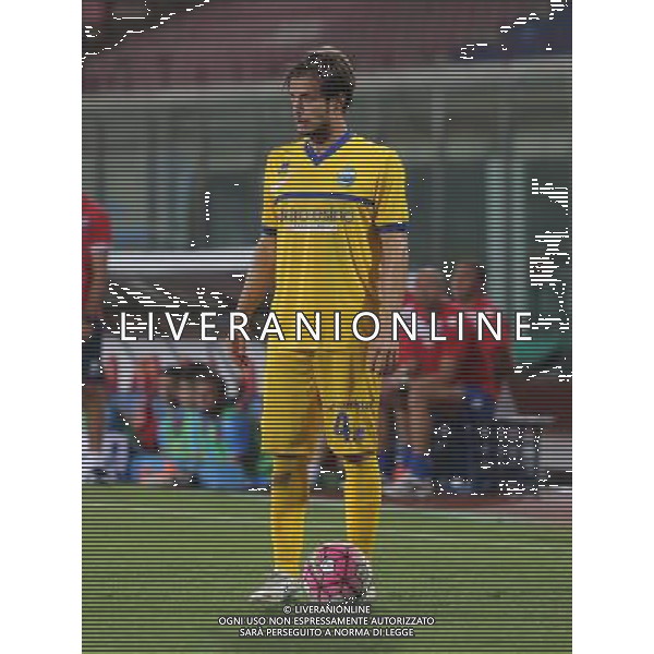 10-8-15 Catania : catania - spal tim cup 2015/16 Nella foto: castagnetti michele GIUSEPPE SERGI/AG ALDO LIVERANI SAS 