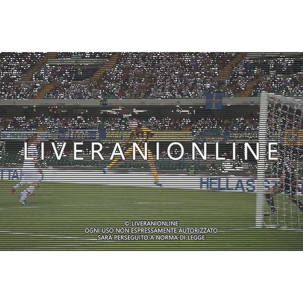 VERONA FOGGIA COPPA ITALIA TIM 15/08/2015 NELLA FOTO GOAL LUCA TONI FOTO EXPRESS-AG ALDO LIVERANI SAS