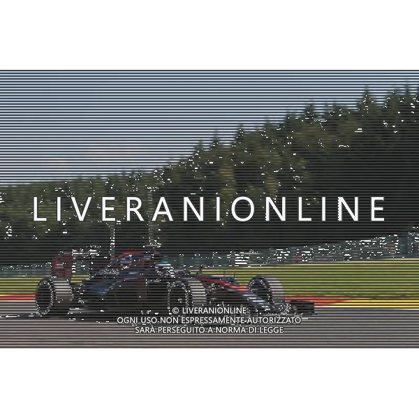 Fernando Alonso (ESP) McLaren MP4-30. 21.08.2015. Formula 1 World Championship, Rd 11, Belgian Grand Prix, Spa Francorchamps, Belgium, Practice Day. AG ALDO LIVERANI SAS ONLY ITALY