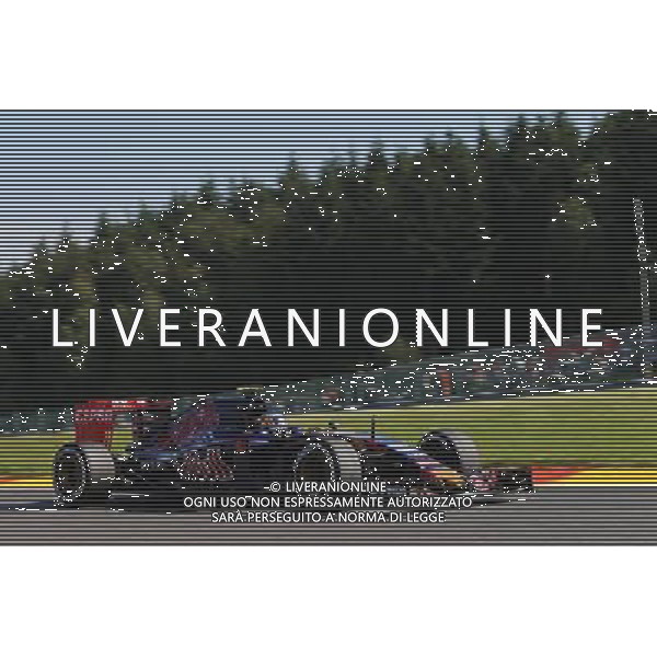Carlos Sainz Jr (ESP) Scuderia Toro Rosso STR10. 21.08.2015. Formula 1 World Championship, Rd 11, Belgian Grand Prix, Spa Francorchamps, Belgium, Practice Day. AG ALDO LIVERANI SAS ONLY ITALY