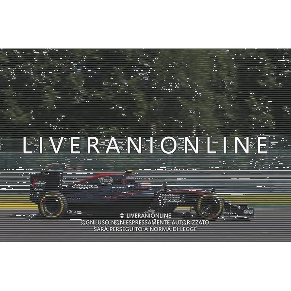 Jenson Button (GBR) McLaren MP4-30. 22.08.2015. Formula 1 World Championship, Rd 11, Belgian Grand Prix, Spa Francorchamps, Belgium, Qualifying Day. /AGENZIA ALDO LIVERANI SAS - ITALY ONLY - EDITORIAL USE ONLY - Gp F1 Belgio Prove Ufficiali