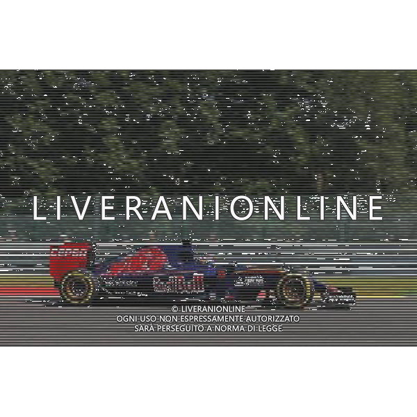 Max Verstappen (NLD) Scuderia Toro Rosso STR10. 22.08.2015. Formula 1 World Championship, Rd 11, Belgian Grand Prix, Spa Francorchamps, Belgium, Qualifying Day. /AGENZIA ALDO LIVERANI SAS - ITALY ONLY - EDITORIAL USE ONLY - Gp F1 Belgio Prove Ufficiali