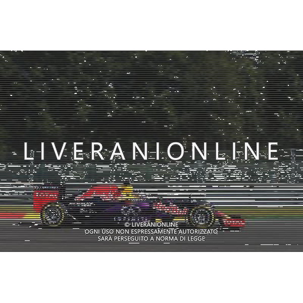 Daniel Ricciardo (AUS) Red Bull Racing RB11. 22.08.2015. Formula 1 World Championship, Rd 11, Belgian Grand Prix, Spa Francorchamps, Belgium, Qualifying Day. /AGENZIA ALDO LIVERANI SAS - ITALY ONLY - EDITORIAL USE ONLY - Gp F1 Belgio Prove Ufficiali