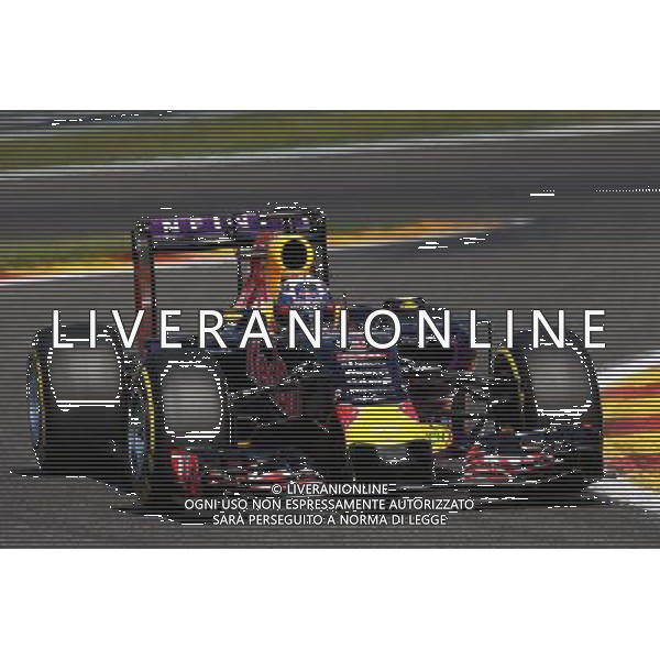 Daniel Ricciardo (AUS) Red Bull Racing RB11. 22.08.2015. Formula 1 World Championship, Rd 11, Belgian Grand Prix, Spa Francorchamps, Belgium, Qualifying Day. /AGENZIA ALDO LIVERANI SAS - ITALY ONLY - EDITORIAL USE ONLY - Gp F1 Belgio Prove Ufficiali