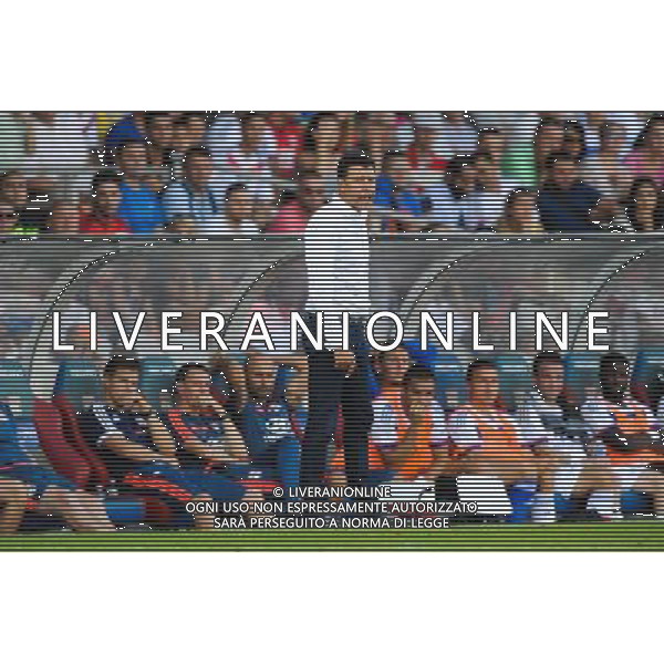 Hubert FOURNIER - 22.08.2015 - Lyon / Rennes - 3eme journee de Ligue 1 Photo : Jean Paul Thomas / Icon Sport /AGENZIA ALDO LIVERANI SAS - ITALY ONLY - EDITORIAL USE ONLY -