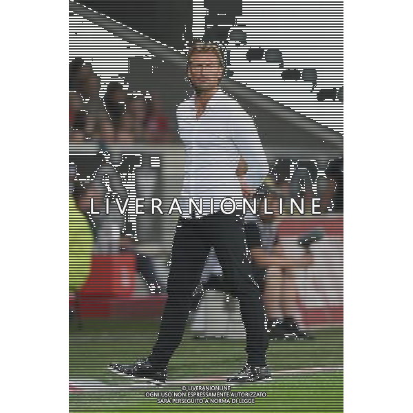 Herve RENARD - 23.08.2015 - Lille / Bordeaux - 3eme journee Ligue 1 Photo : Nolwenn Le Gouic / Icon Sport