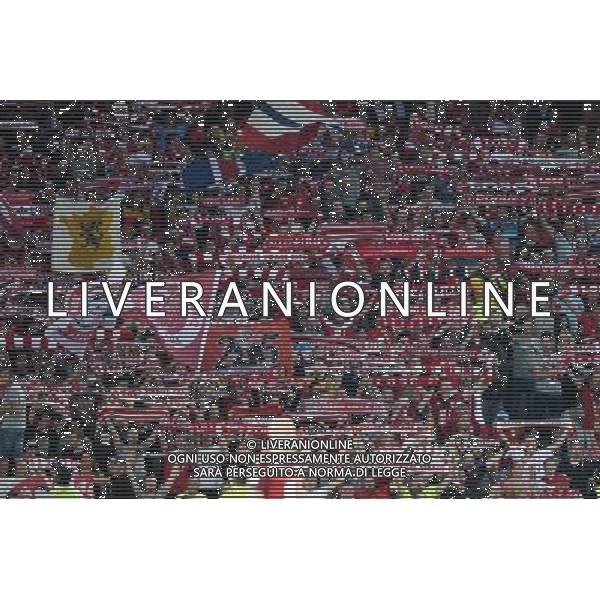 supporters Lille - 23.08.2015 - Lille / Bordeaux - 3eme journee Ligue 1 Photo : Nolwenn Le Gouic / Icon Sport