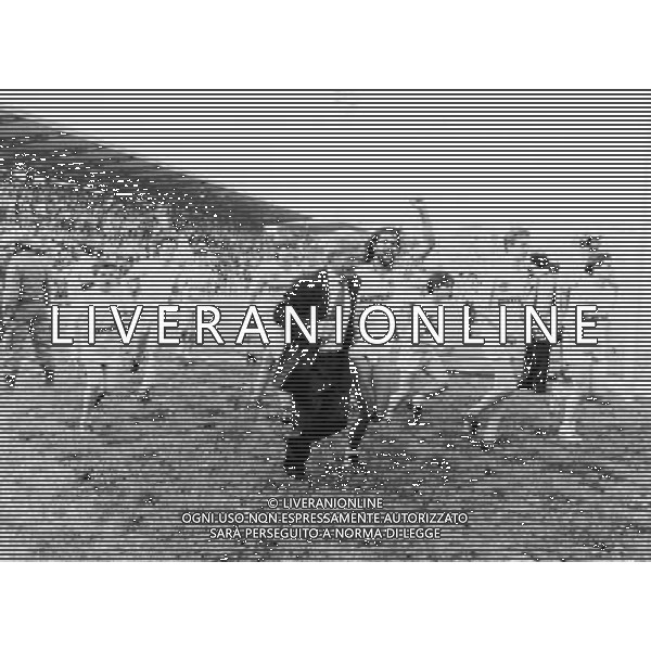 NEVIO SCALA ALLENATORE DEL PARMA CALCIO CON MARCO OSIO NEL 1990/1991 - RETROSPETTIVA ©ARCHIVIO AGENZIA ALDO LIVERANI SAS