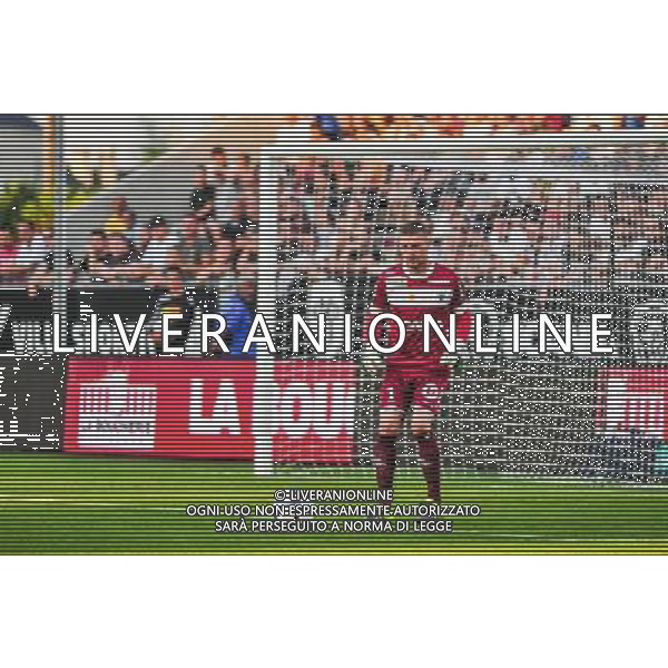 Ludovic Butelle - 29.08.2015 - Angers / Nice - 4eme journee de Ligue 1 Photo : Philippe Lebrech / Icon Sport AG ALDO LIVERANI SAS ONLY ITALY