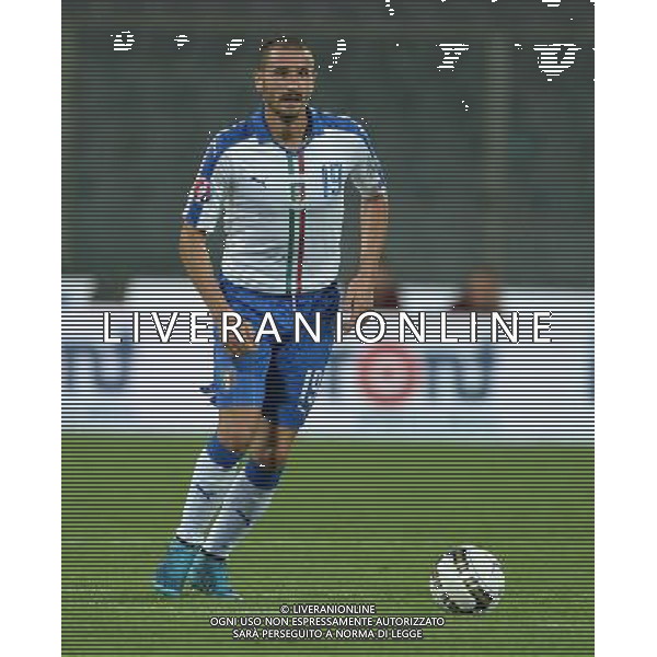 Qualificazioni ai Campionati Europei di Calcio UEFA Francia 2016 Gruppo H Firenze - 03.09.2015 Italia-Malta Nella Foto:Bonucci Leonardo /Ph.Vitez-Ag. Aldo Liverani
