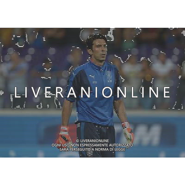 Qualificazioni ai Campionati Europei di Calcio UEFA Francia 2016 Gruppo H Firenze - 03.09.2015 Italia-Malta Nella Foto:Buffon Gianluigi /Ph.Vitez-Ag. Aldo Liverani