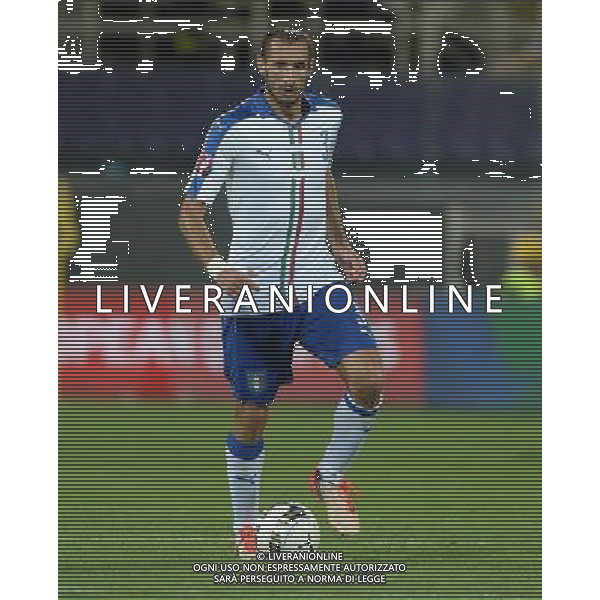 Qualificazioni ai Campionati Europei di Calcio UEFA Francia 2016 Gruppo H Firenze - 03.09.2015 Italia-Malta Nella Foto:Chiellini Giorgio /Ph.Vitez-Ag. Aldo Liverani