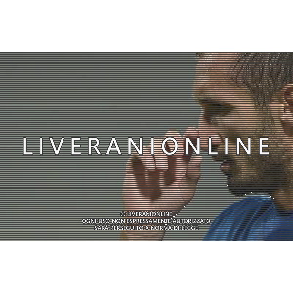 Qualificazioni ai Campionati Europei di Calcio UEFA Francia 2016 Gruppo H Firenze - 03.09.2015 Italia-Malta Nella Foto:Chiellini Giorgio /Ph.Vitez-Ag. Aldo Liverani