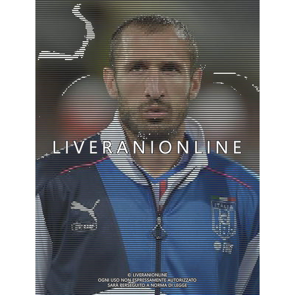 Qualificazioni ai Campionati Europei di Calcio UEFA Francia 2016 Gruppo H Firenze - 03.09.2015 Italia-Malta Nella Foto:Chiellini Giorgio /Ph.Vitez-Ag. Aldo Liverani