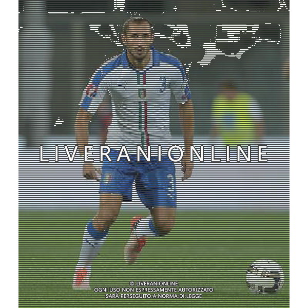 Qualificazioni ai Campionati Europei di Calcio UEFA Francia 2016 Gruppo H Firenze - 03.09.2015 Italia-Malta Nella Foto:Chiellini Giorgio /Ph.Vitez-Ag. Aldo Liverani