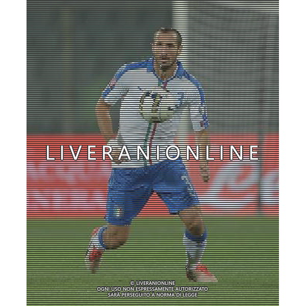 Qualificazioni ai Campionati Europei di Calcio UEFA Francia 2016 Gruppo H Firenze - 03.09.2015 Italia-Malta Nella Foto:Chiellini Giorgio /Ph.Vitez-Ag. Aldo Liverani