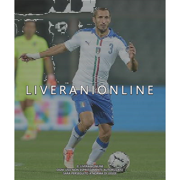 Qualificazioni ai Campionati Europei di Calcio UEFA Francia 2016 Gruppo H Firenze - 03.09.2015 Italia-Malta Nella Foto:Chiellini Giorgio /Ph.Vitez-Ag. Aldo Liverani