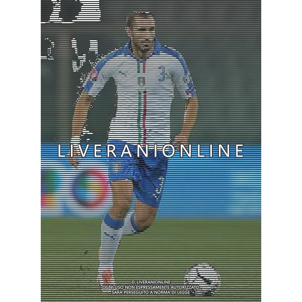 Qualificazioni ai Campionati Europei di Calcio UEFA Francia 2016 Gruppo H Firenze - 03.09.2015 Italia-Malta Nella Foto:Chiellini Giorgio /Ph.Vitez-Ag. Aldo Liverani
