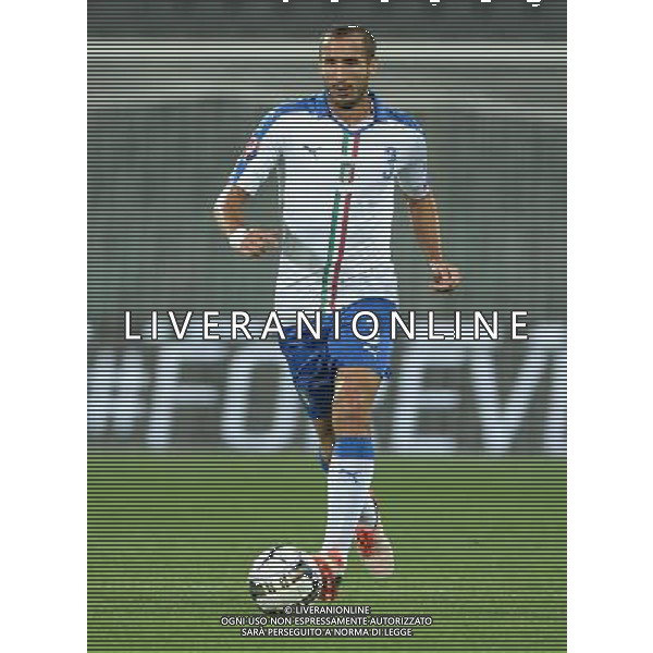 Qualificazioni ai Campionati Europei di Calcio UEFA Francia 2016 Gruppo H Firenze - 03.09.2015 Italia-Malta Nella Foto:Chiellini Giorgio /Ph.Vitez-Ag. Aldo Liverani