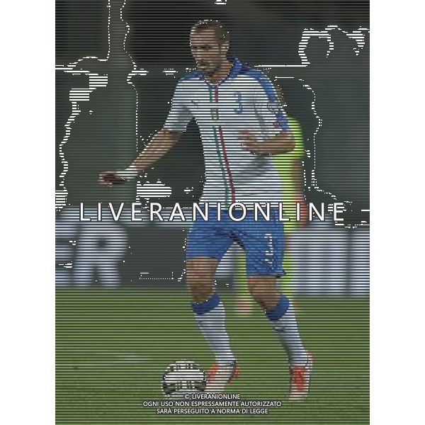 Qualificazioni ai Campionati Europei di Calcio UEFA Francia 2016 Gruppo H Firenze - 03.09.2015 Italia-Malta Nella Foto:Chiellini Giorgio /Ph.Vitez-Ag. Aldo Liverani