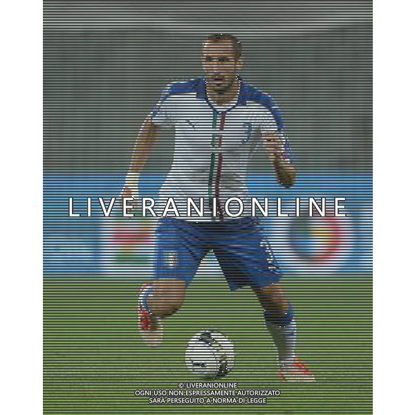 Qualificazioni ai Campionati Europei di Calcio UEFA Francia 2016 Gruppo H Firenze - 03.09.2015 Italia-Malta Nella Foto:Chiellini Giorgio /Ph.Vitez-Ag. Aldo Liverani