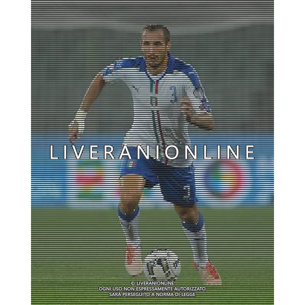 Qualificazioni ai Campionati Europei di Calcio UEFA Francia 2016 Gruppo H Firenze - 03.09.2015 Italia-Malta Nella Foto:Chiellini Giorgio /Ph.Vitez-Ag. Aldo Liverani
