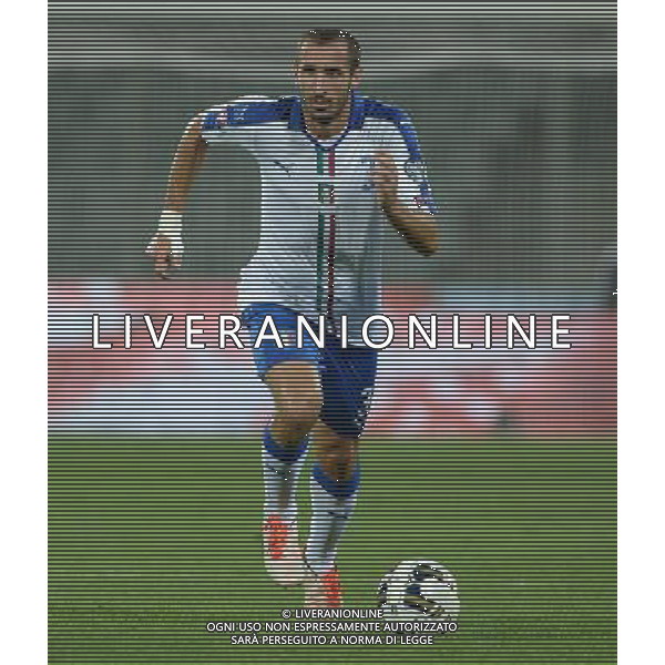 Qualificazioni ai Campionati Europei di Calcio UEFA Francia 2016 Gruppo H Firenze - 03.09.2015 Italia-Malta Nella Foto:Chiellini Giorgio /Ph.Vitez-Ag. Aldo Liverani