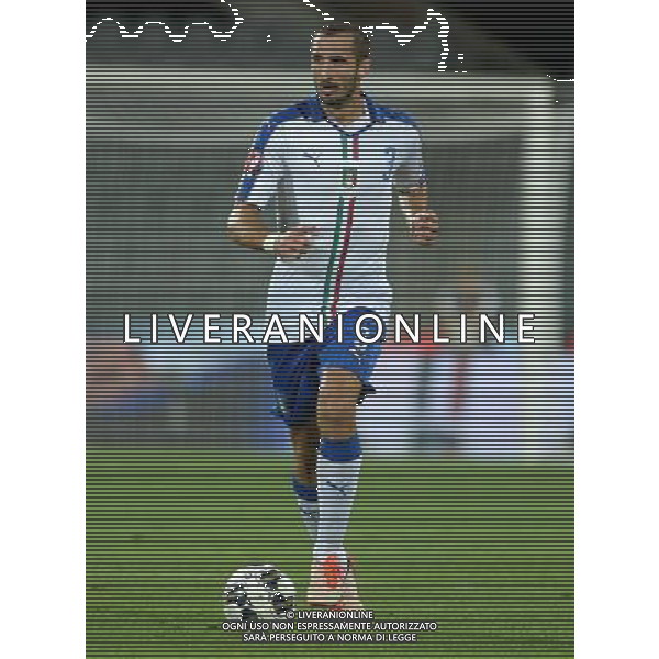 Qualificazioni ai Campionati Europei di Calcio UEFA Francia 2016 Gruppo H Firenze - 03.09.2015 Italia-Malta Nella Foto:Chiellini Giorgio /Ph.Vitez-Ag. Aldo Liverani
