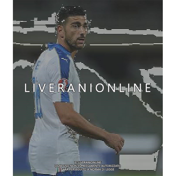 Qualificazioni ai Campionati Europei di Calcio UEFA Francia 2016 Gruppo H Firenze - 03.09.2015 Italia-Malta Nella Foto:Pelle\' Graziano /Ph.Vitez-Ag. Aldo Liverani