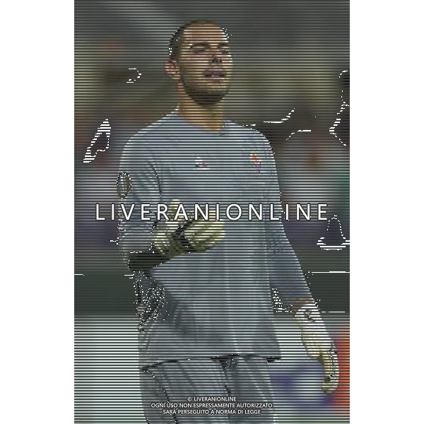 UEFA Europa League 2015/2016 Gruppo I Firenze - 17.09.2015 Fiorentina-Basilea Nella Foto:Sepe Luigi /Ph.Vitez-Ag. Aldo Liverani