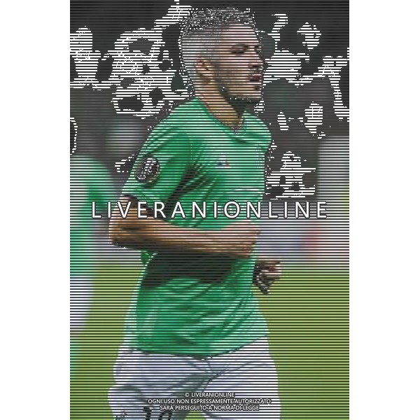 Fabien LEMOINE - 17.09.2015 - Saint Etienne / Rosenborg - Europa League Photo : Jean Paul Thomas / Icon Sport *** Local Caption *** AG ALDO LIVERANI SAS ONLY ITALY *** Local Caption *** AG ALDO LIVERANI SAS ONLY ITALY