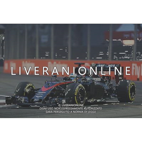 Fernando Alonso (ESP) McLaren MP4-30. 18.09.2015. Formula 1 World Championship, Rd 13, Singapore Grand Prix, Singapore, Singapore, Practice Day. AG ALDO LIVERANI SAS ONLY ITALY