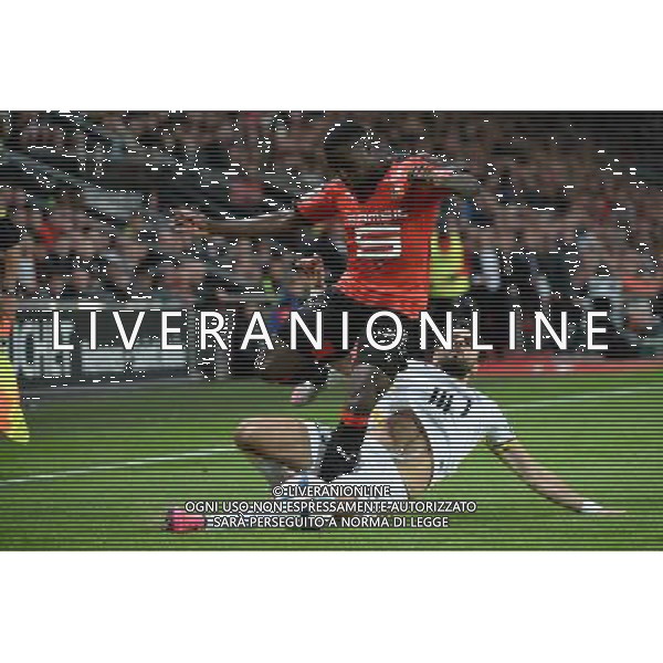 Paul Georges NTEP / Marko BASA - 18.09.2015 - Rennes / Lille - 6eme journee Ligue 1 Photo : Nolwenn Le Gouic / Icon Sport AG ALDO LIVERANI SAS ONLY ITALY