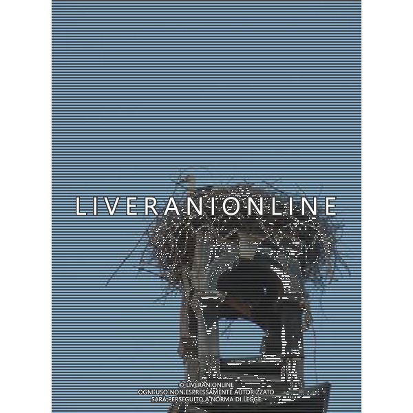 OSJEK CROAZIA 2015 NELLA FOTO LE CICOGNE SU UN TETTO DI UN EDIFICIO AG ALDO LIVERANI SAS