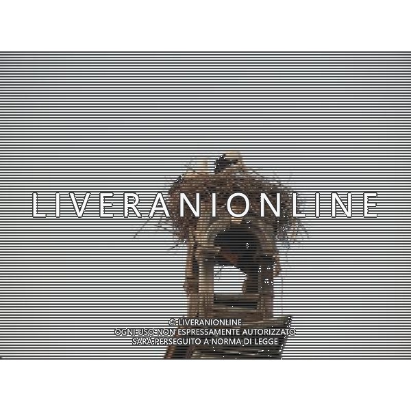 OSJEK CROAZIA 2015 NELLA FOTO LE CICOGNE SU UN TETTO DI UN EDIFICIO AG ALDO LIVERANI SAS